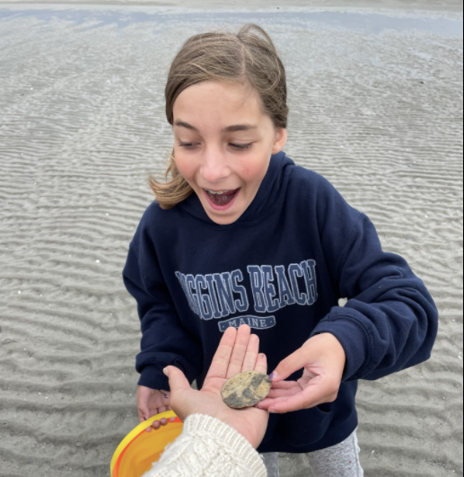 The Real Joy Of Finding A Sand Dollar