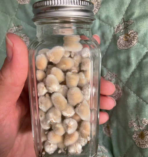 Don't Miss The Light