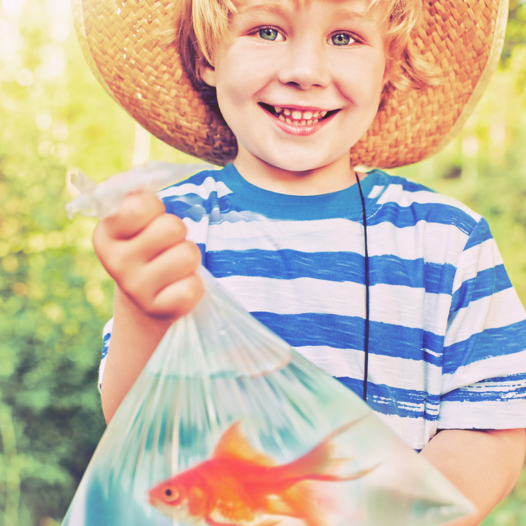 Just A Fish Story... But It's Motherhood.